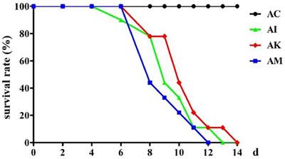 Study on the antagonistic effects of koumiss on Toxoplasma gondii infection in mice